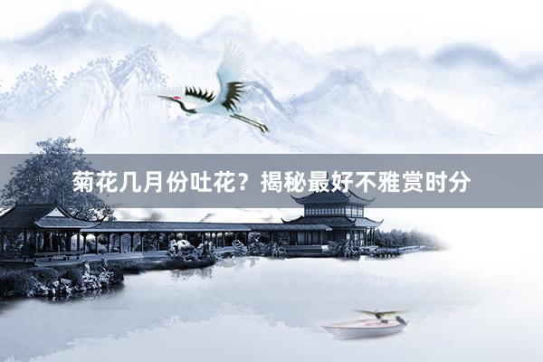 菊花几月份吐花？揭秘最好不雅赏时分