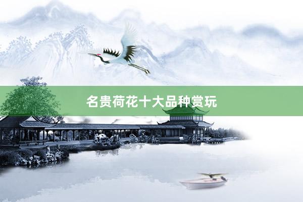 名贵荷花十大品种赏玩