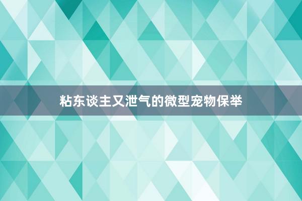 粘东谈主又泄气的微型宠物保举