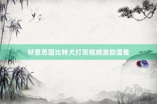好意思国比特犬打架视频激励温雅