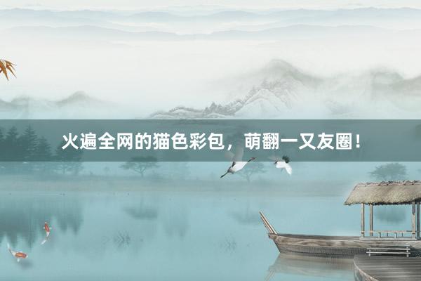 火遍全网的猫色彩包，萌翻一又友圈！