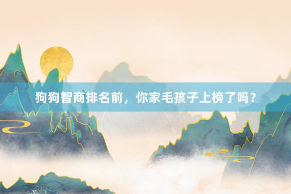 狗狗智商排名前，你家毛孩子上榜了吗？